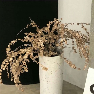 清徐福瑞交流群